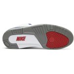 air_jordan_3_retro_og__true_blue__2016_854262_106_0_72845.jpeg
