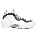 nike_air_foamposite_pro__chrome_white__624041_103_0_75882.jpeg