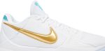 undefeated_x_nike_zoom_kobe_5_protro_special_box___0_97925.jpeg