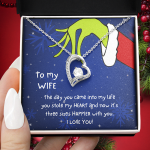 Christmas Necklace Gift to Wife - The day you came into my life you stole my heart