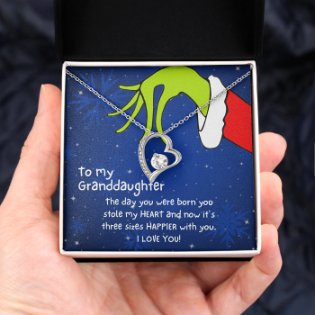 Christmas Necklace Gift to Granddaughter - The day you were born you stole my heart